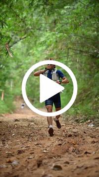 BIB:  <button type="button" onclick="openModal(26805256)" class="btn btn-primary btn-sm float-right" data-toggle="modal" data-target=".modal-high-quality">
                <i class="fa fa-download"></i> Download
                </button>